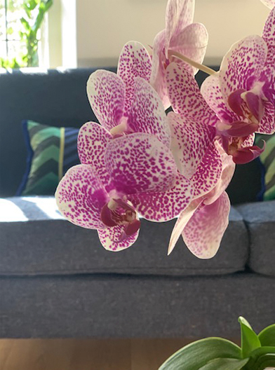 Interior styling and detail from Sherburne Living