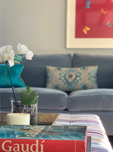 Living room interior design and decor